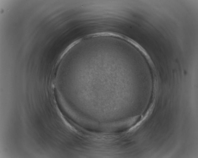 X0000086270809200704051308