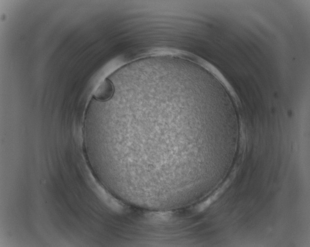 X0000086270810200704051308