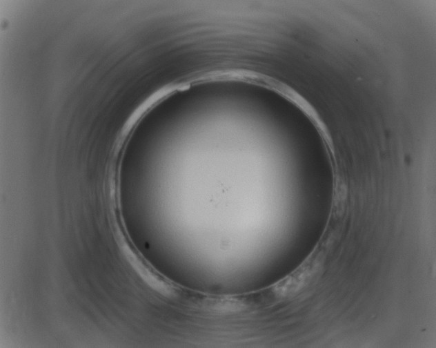 X0000086270811200704051308