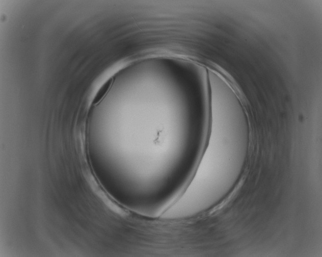 X0000086270812200704051308