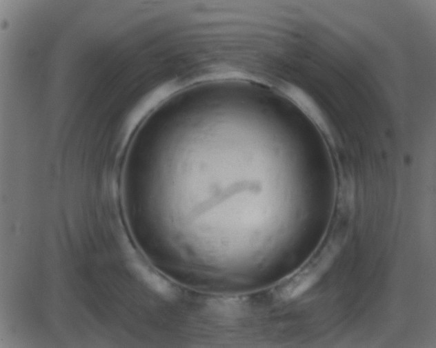 X0000086270813200704051308