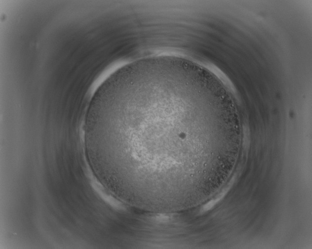 X0000086270814200704051308