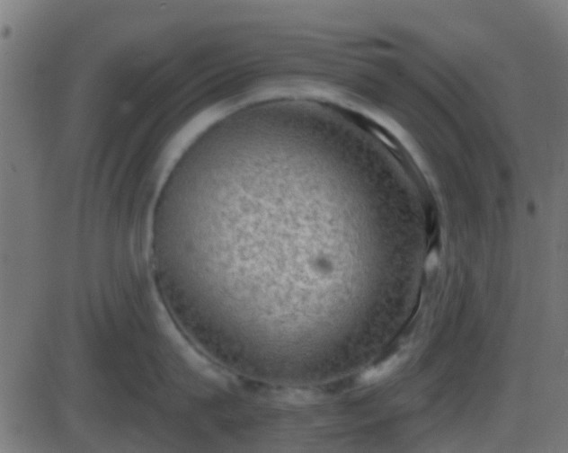 X0000086270815200704051308