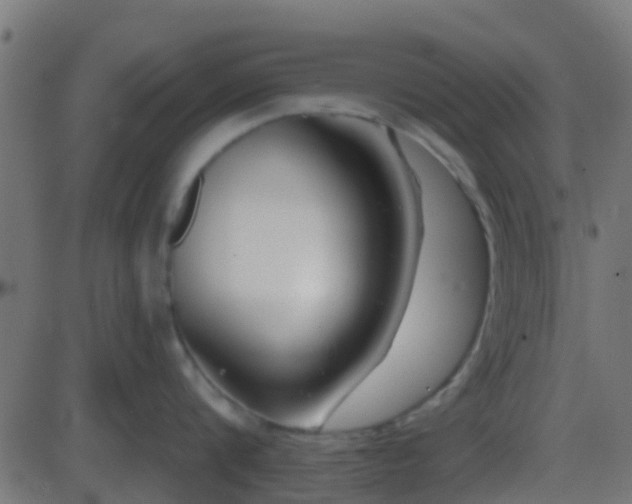 X0000086270816200704051308