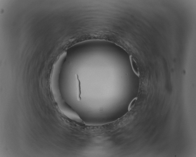 X0000086270817200704051307