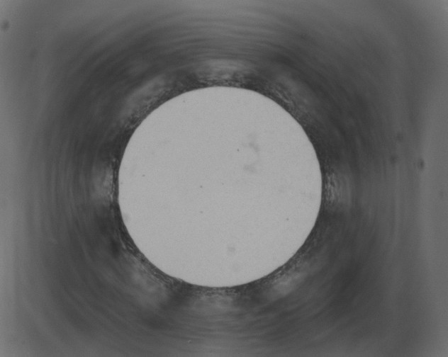 X0000086270820200704051307