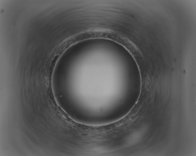 X0000086270821200704051307