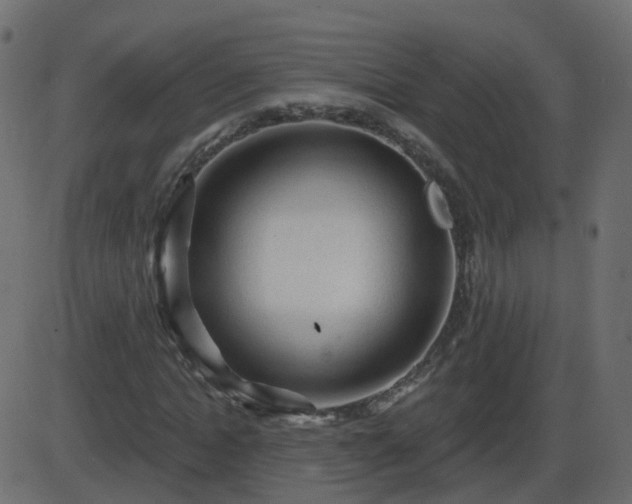 X0000086270822200704051307