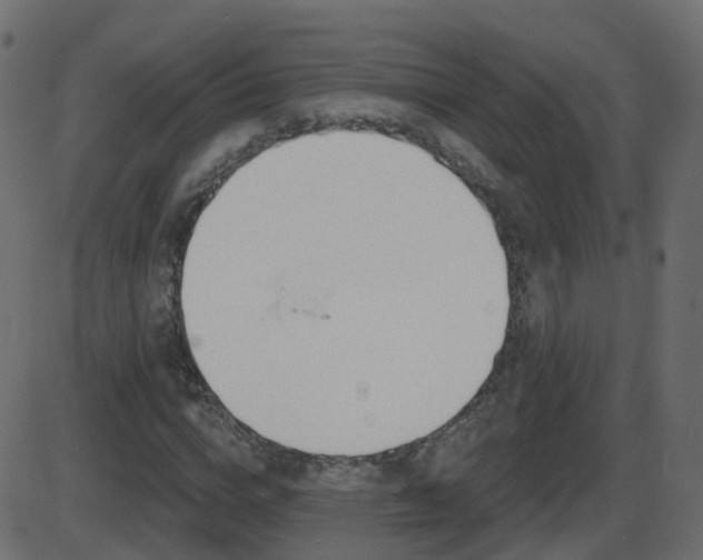 X0000086270824200704051307