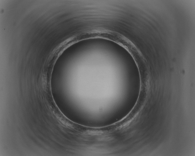 X0000086270825200704051307