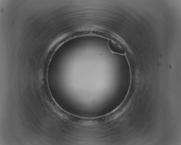 X0000086270826200704051307