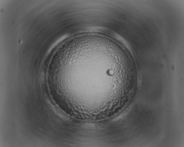 X0000086270827200704051307