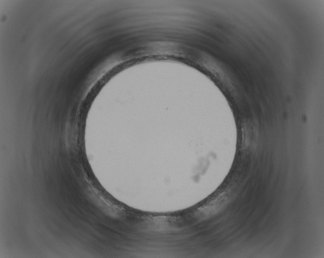 X0000086270828200704051307