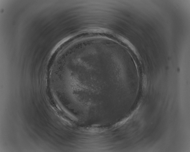 X0000086270829200704051307