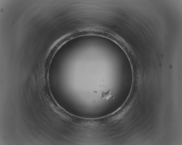 X0000086270830200704051307