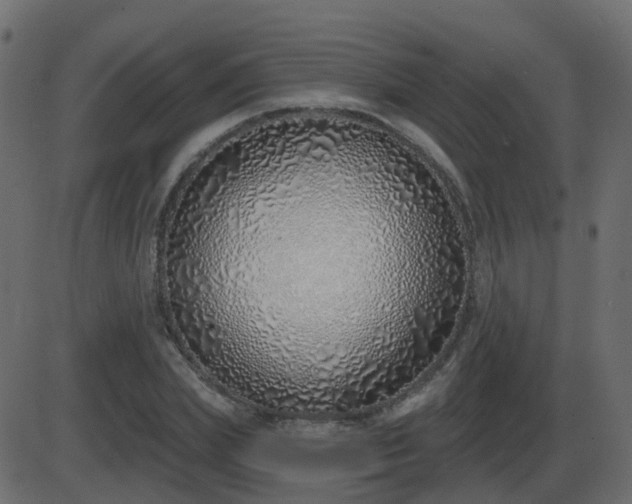 X0000086270831200704051307