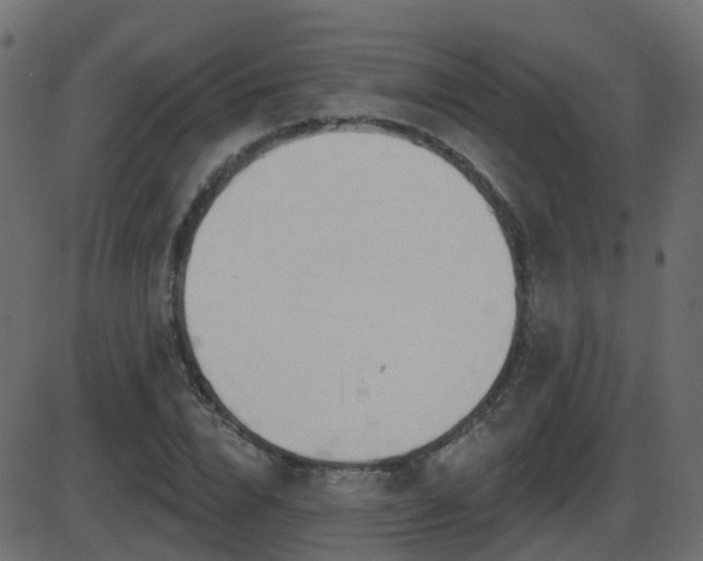 X0000086270832200704051307