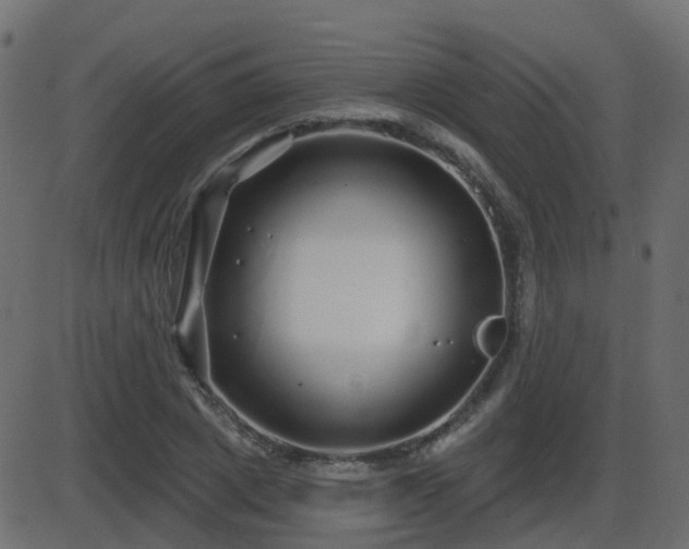 X0000086270833200704051307