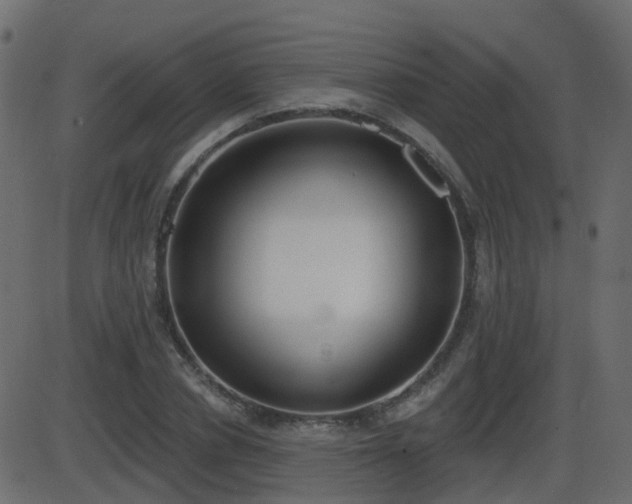 X0000086270834200704051307