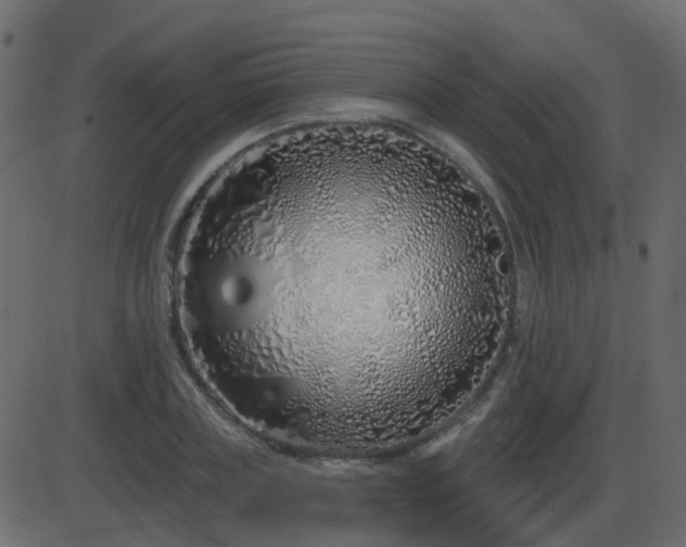 X0000086270835200704051307