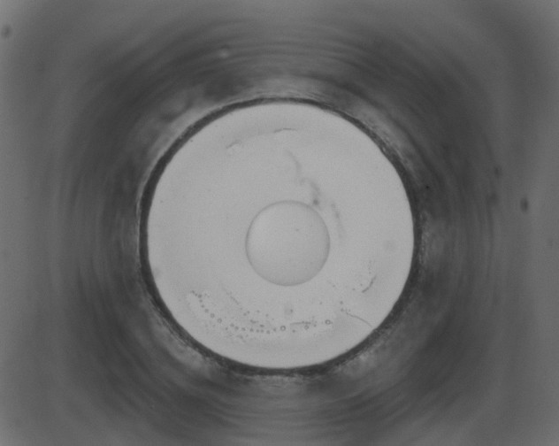 X0000086270836200704051307