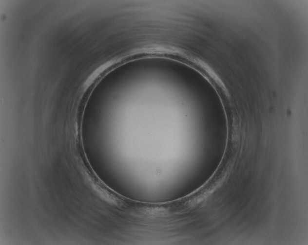 X0000086270837200704051307