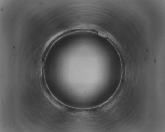 X0000086270838200704051307