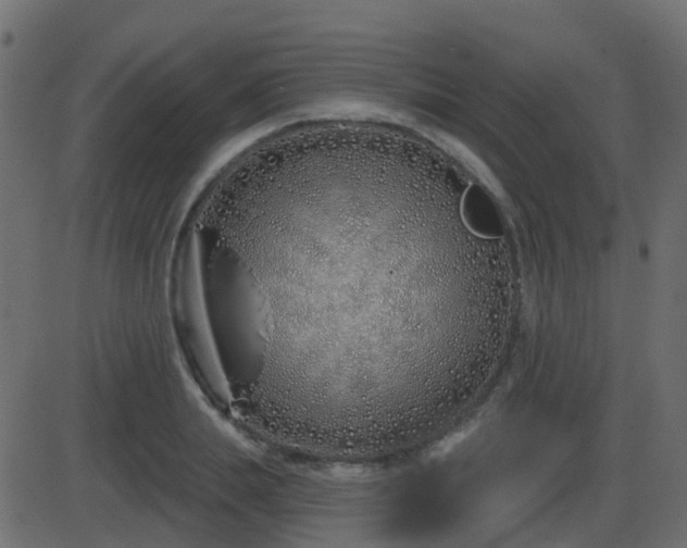 X0000086270839200704051307