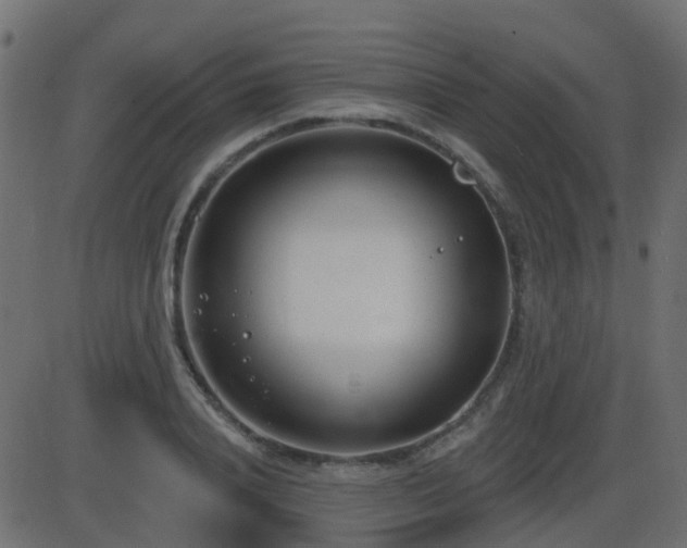 X0000086270840200704051307