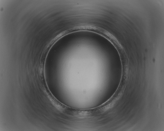 X0000086270841200704051307