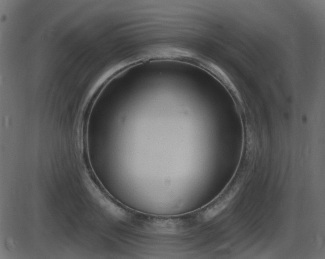 X0000086270843200704051307