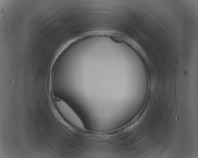 X0000086270844200704051307