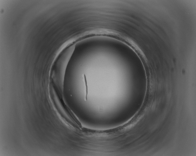 X0000086270845200704051307