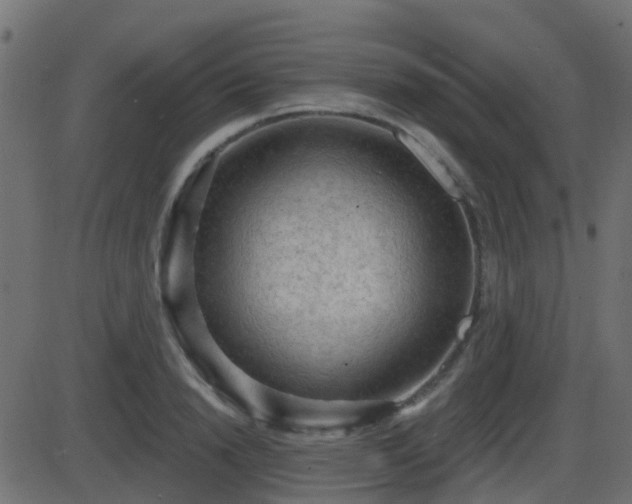 X0000086270846200704051307