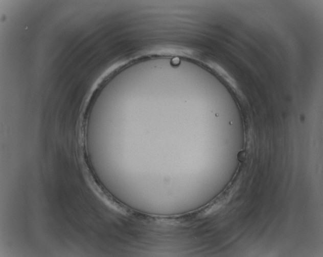 X0000086270848200704051307