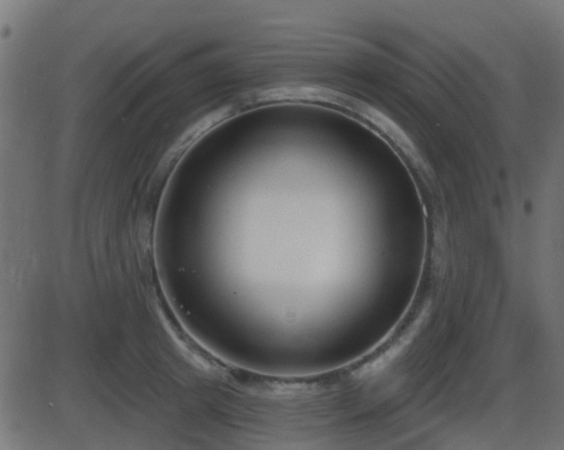 X0000086270849200704051307