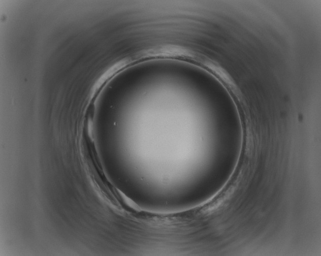 X0000086270850200704051307