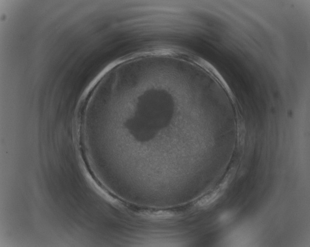 X0000086270851200704051307