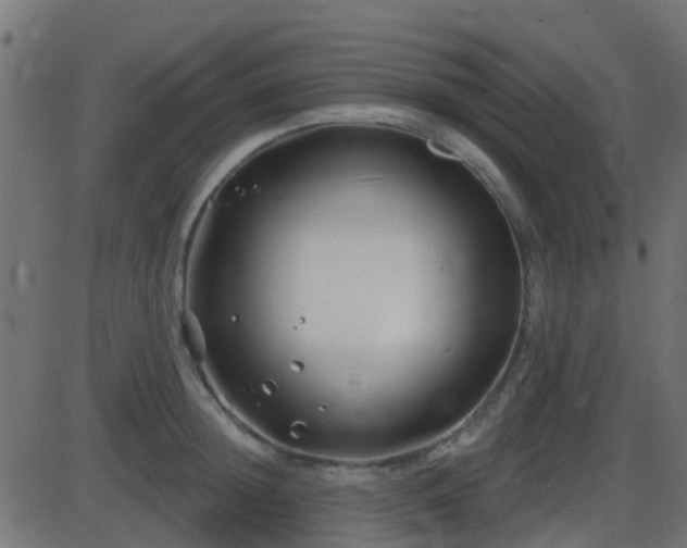 X0000086270852200704051307