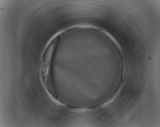 X0000086270853200704051307