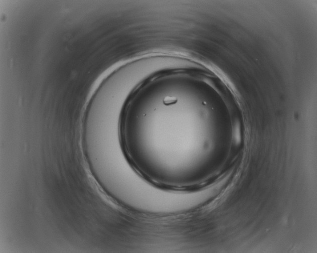 X0000086270854200704051307