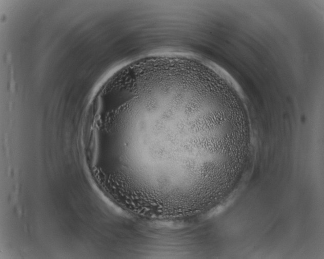 X0000086270855200704051307