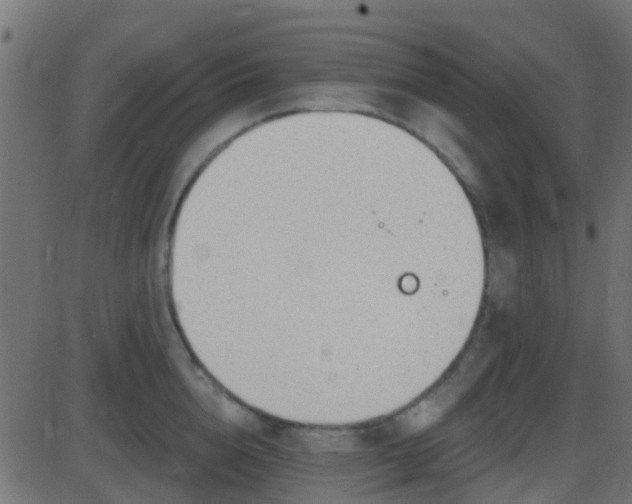 X0000086270856200704051307