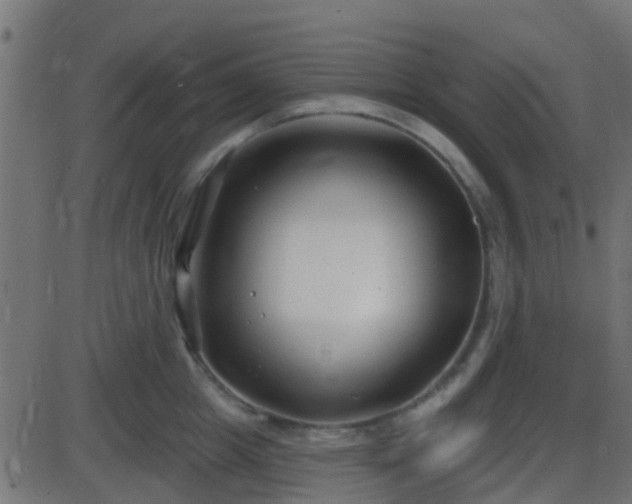 X0000086270857200704051307