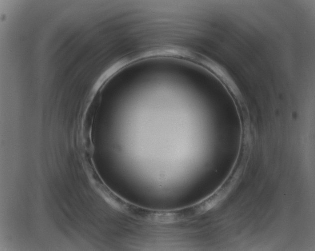 X0000086270858200704051307