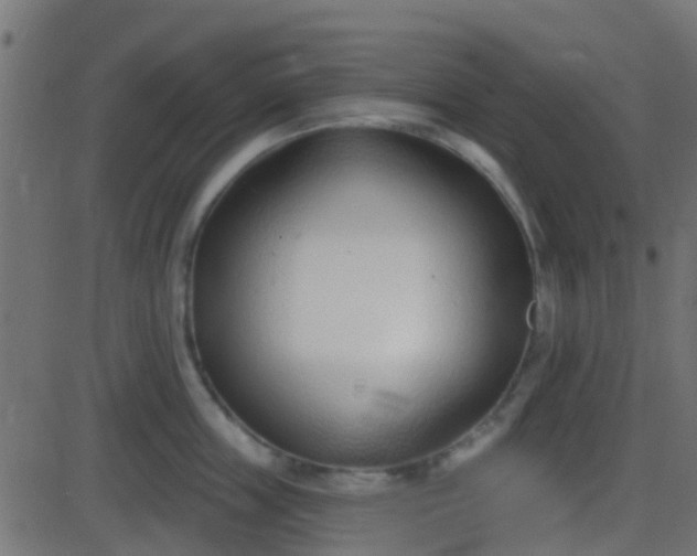 X0000086270859200704051307