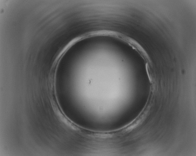 X0000086270860200704051307