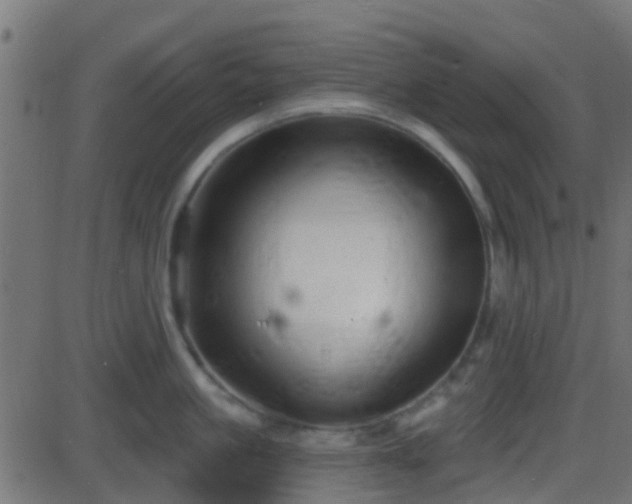 X0000086270861200704051307