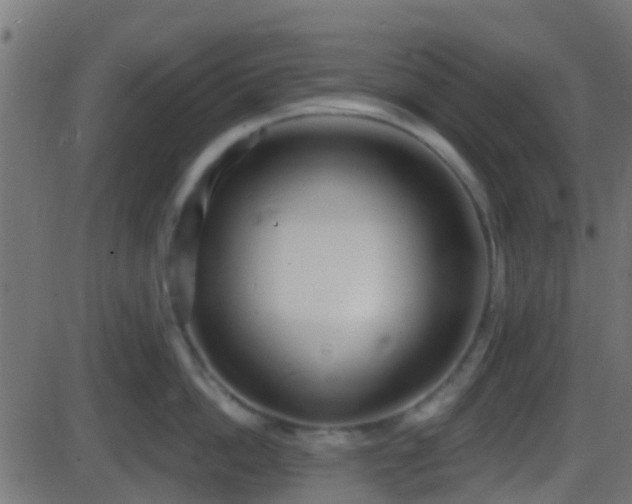 X0000086270862200704051307