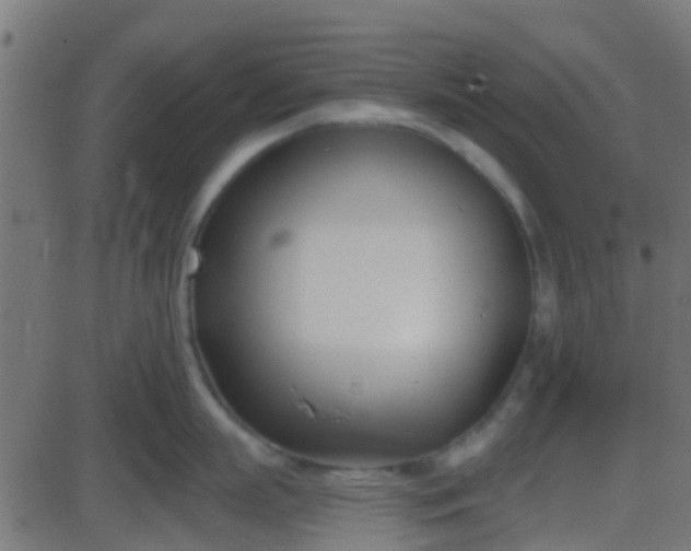 X0000086270863200704051307